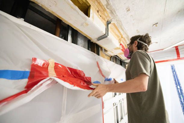 Best Attic Mold Removal  in Homestead Meadows South, TX